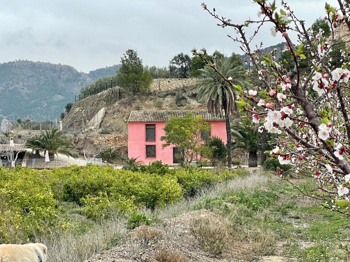 Casa Ramoncico. Finca El Campillo Blanca Екстер'єр фото