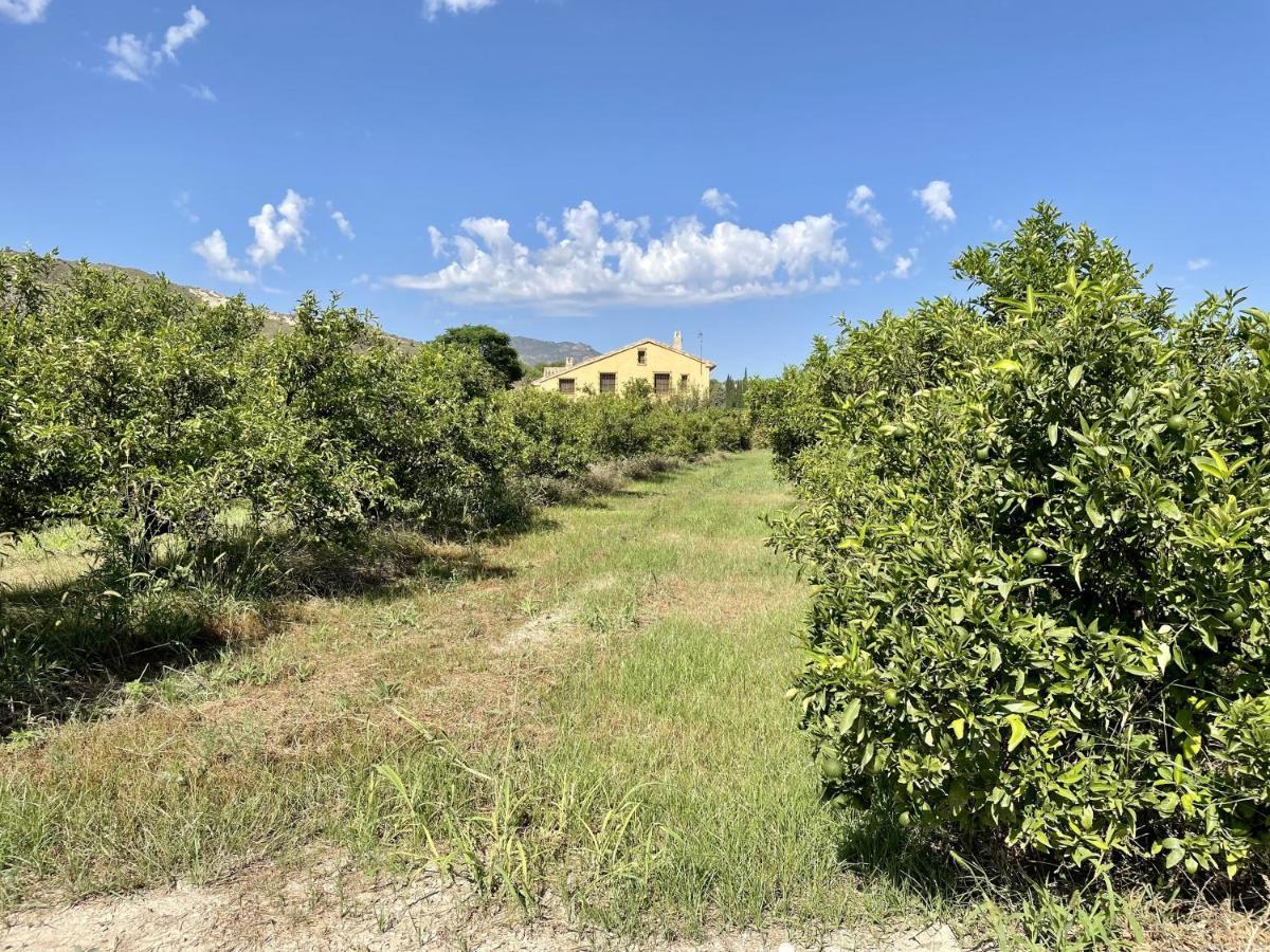 Casa Ramoncico. Finca El Campillo Blanca Екстер'єр фото