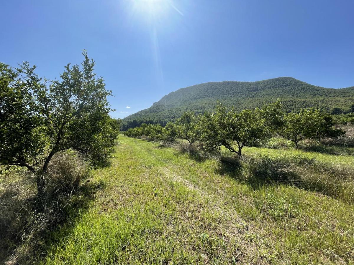 Casa Ramoncico. Finca El Campillo Blanca Екстер'єр фото