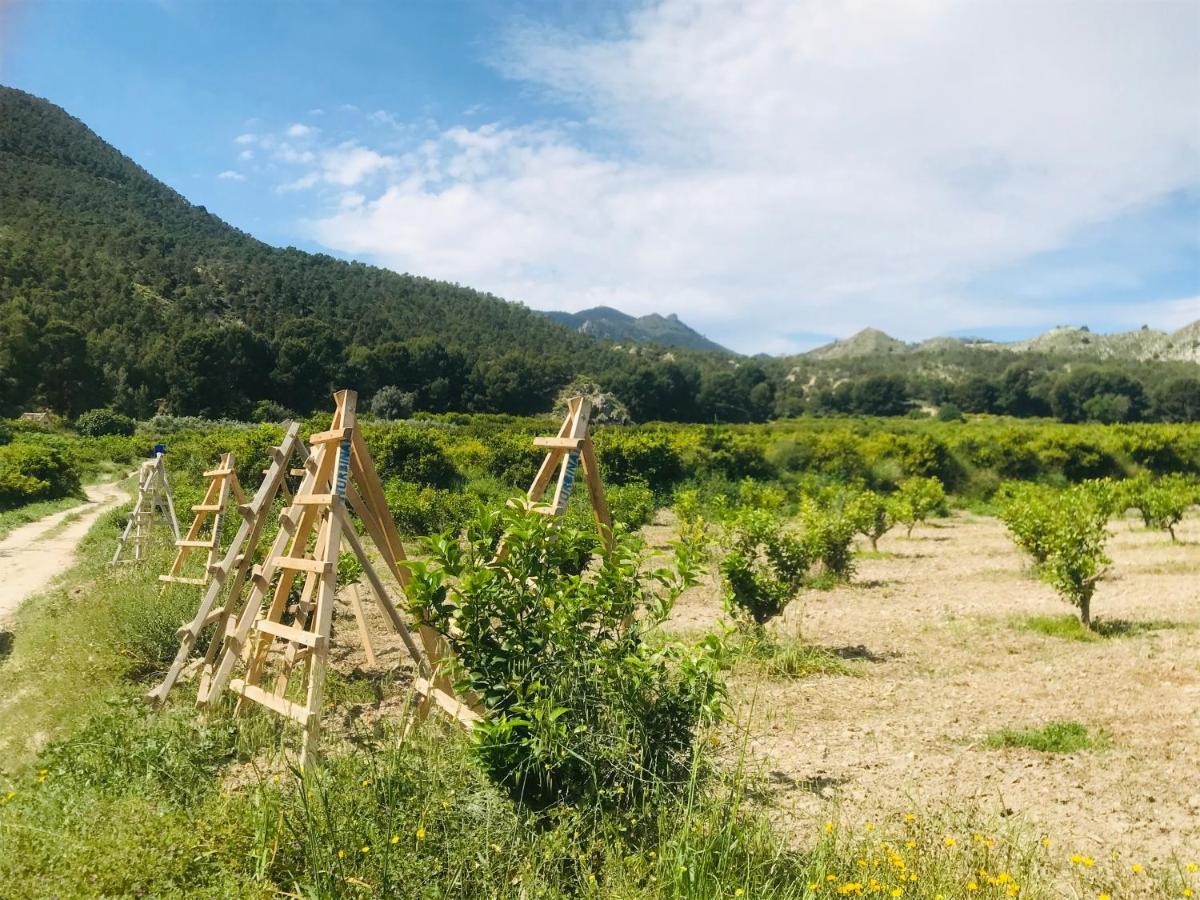Casa Ramoncico. Finca El Campillo Blanca Екстер'єр фото