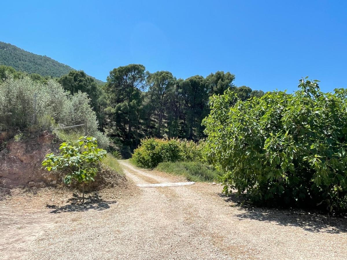 Casa Ramoncico. Finca El Campillo Blanca Екстер'єр фото