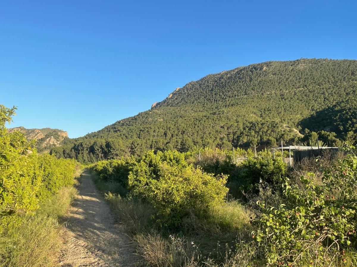 Casa Ramoncico. Finca El Campillo Blanca Екстер'єр фото
