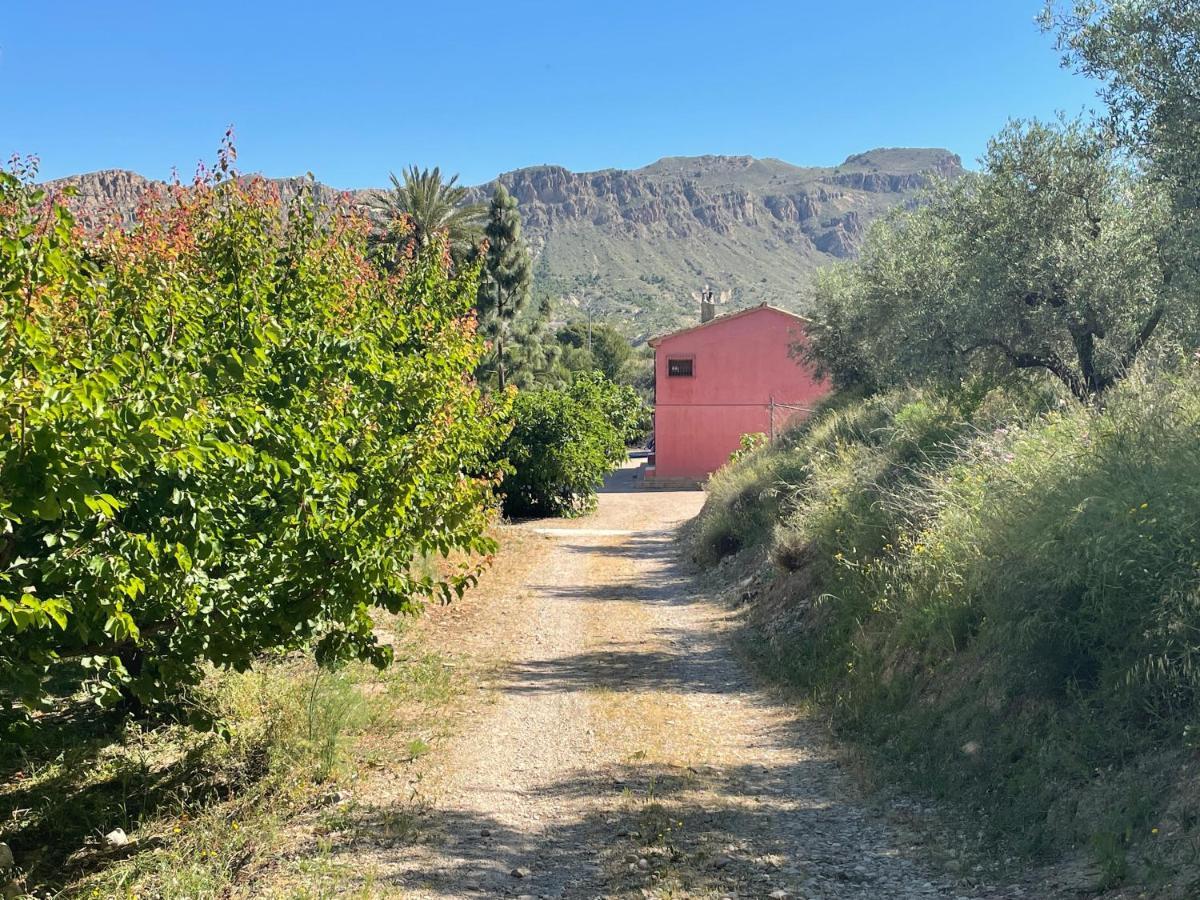 Casa Ramoncico. Finca El Campillo Blanca Екстер'єр фото